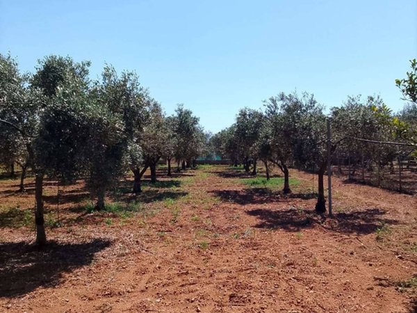 terreno in vendita a Mazara del Vallo