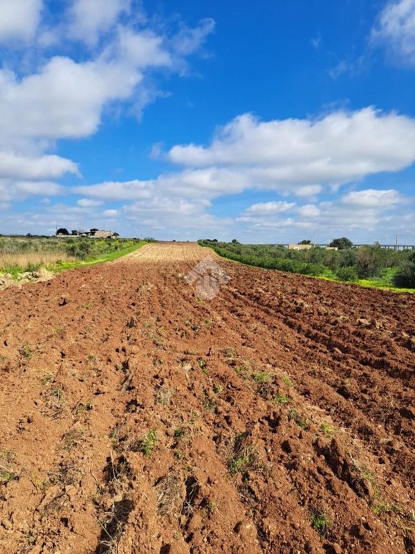 terreno in vendita a Mazara del Vallo