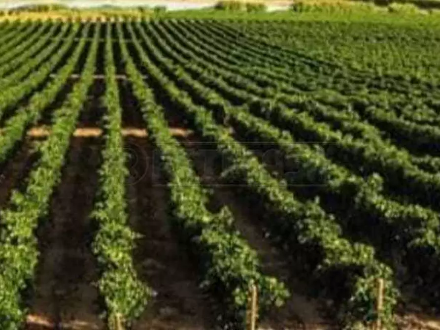 terreno in vendita a Mazara del Vallo