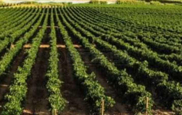 terreno in vendita a Mazara del Vallo in zona Mazara Due