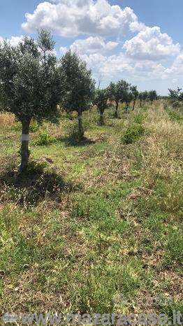 terreno in vendita a Mazara del Vallo in zona Centro Storico