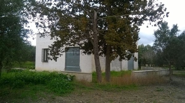 appartamento in vendita a Paceco in zona Dattilo
