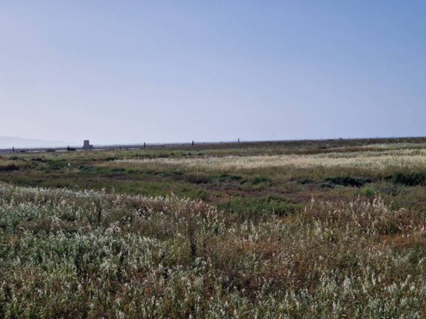 terreno edificabile in vendita a Paceco
