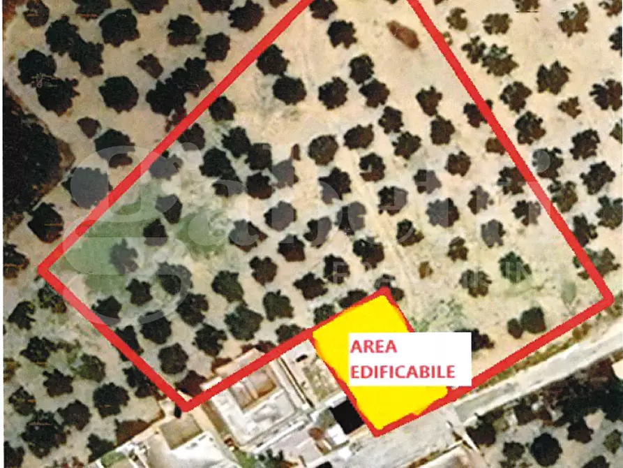 casa indipendente in vendita a Paceco in zona Dattilo