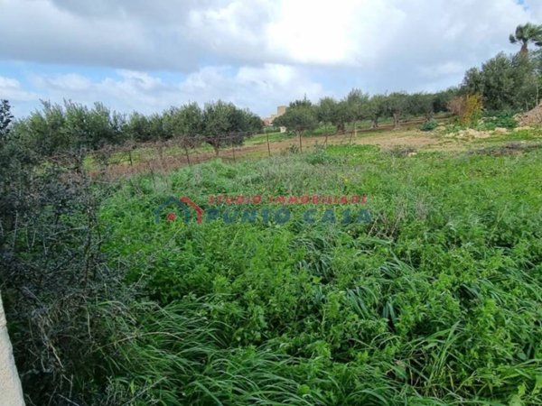 terreno agricolo in vendita a Paceco in zona Nubia