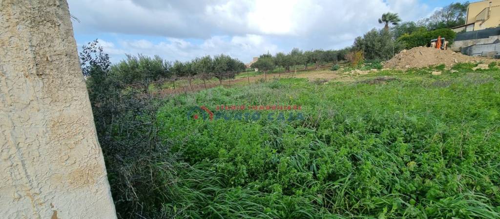 terreno agricolo in vendita a Paceco in zona Nubia