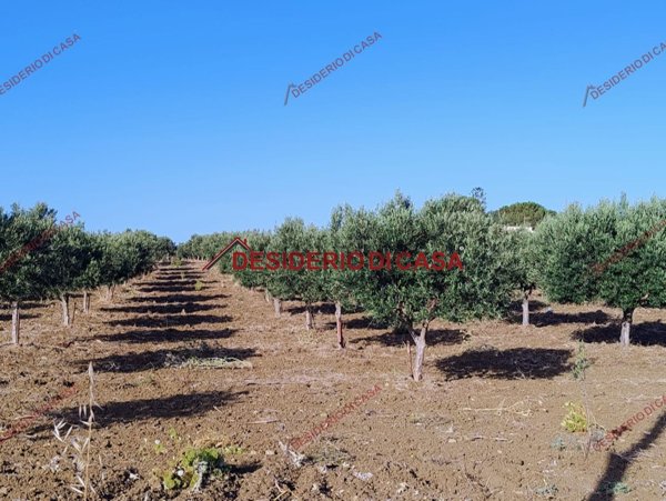 terreno agricolo in vendita a Paceco