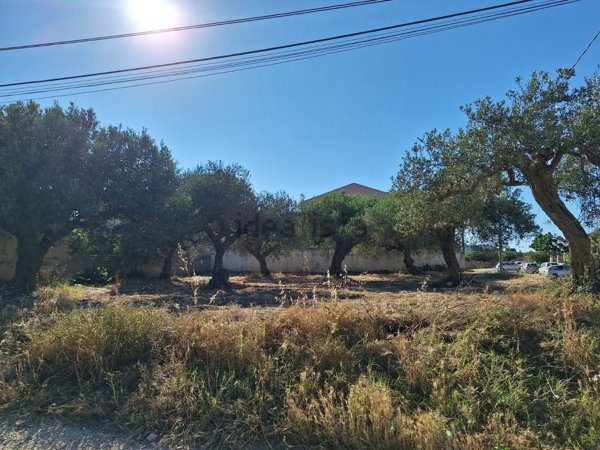 terreno edificabile in vendita a Paceco