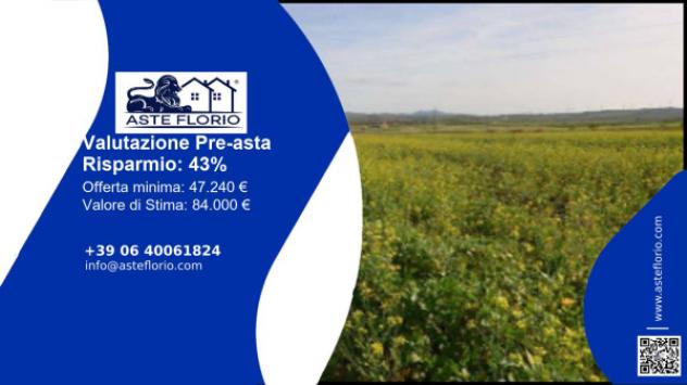 terreno agricolo in vendita a Paceco