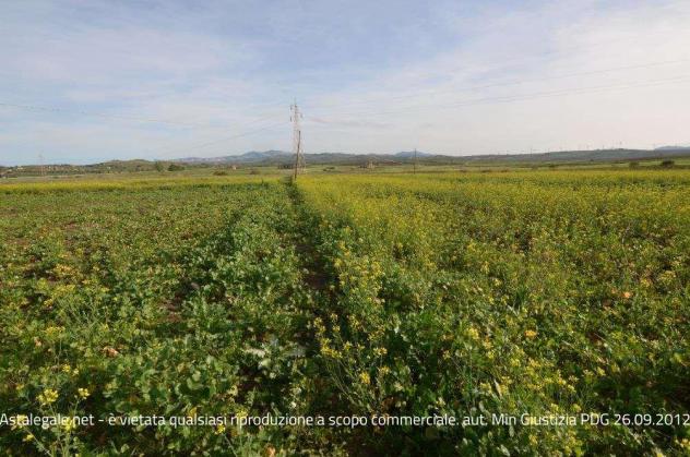 terreno agricolo in vendita a Paceco