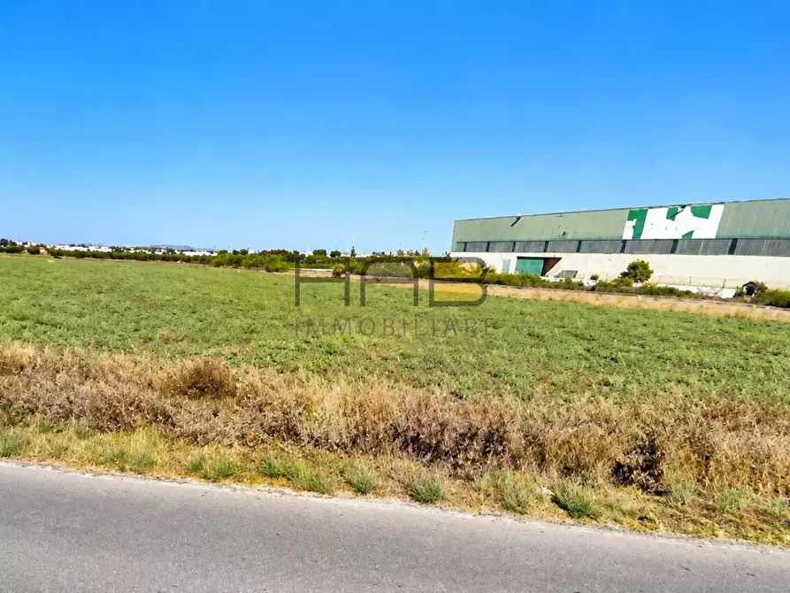 terreno agricolo in vendita a Paceco