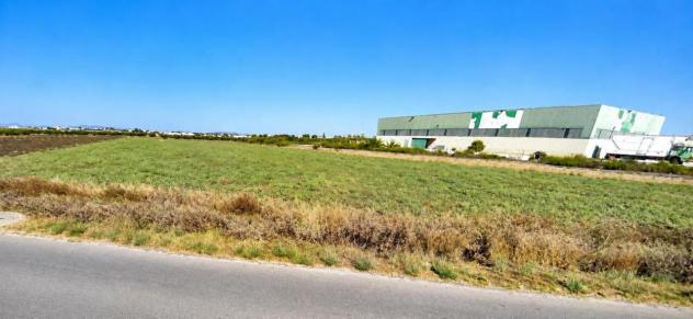 terreno agricolo in vendita a Paceco