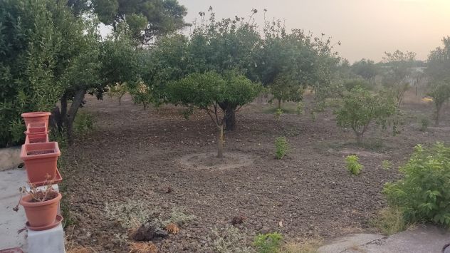 terreno agricolo in vendita a Paceco in zona Dattilo