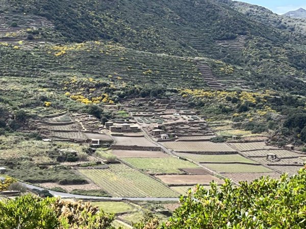 casa indipendente in vendita a Pantelleria