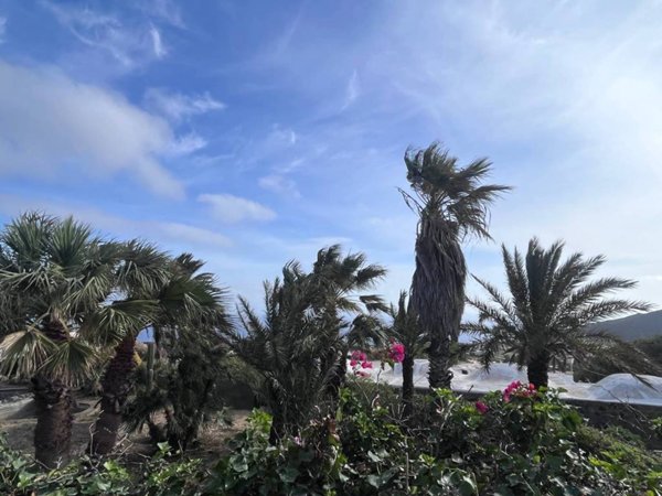 casa indipendente in vendita a Pantelleria