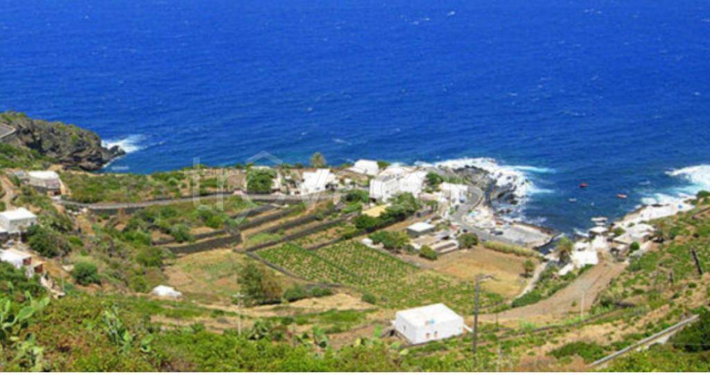 terreno agricolo in vendita a Pantelleria in zona Gadir