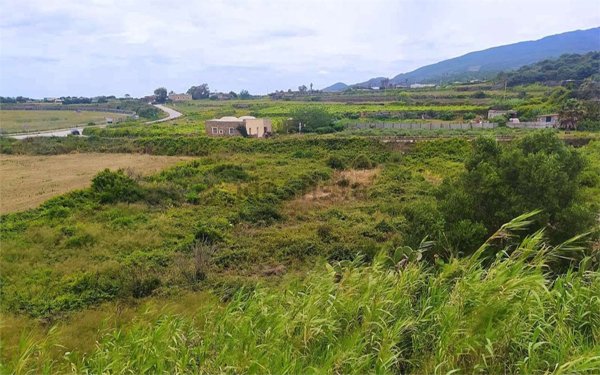 pentavano in vendita a Pantelleria in zona Scauri