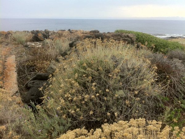terreno agricolo in vendita a Pantelleria