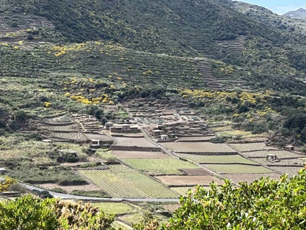 appartamento in vendita a Pantelleria