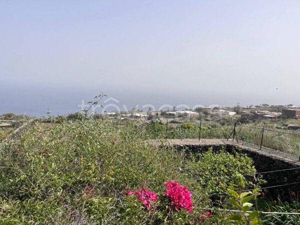 quadrivano in vendita a Pantelleria