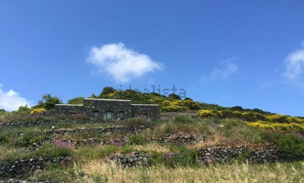 quadrivano in vendita a Pantelleria