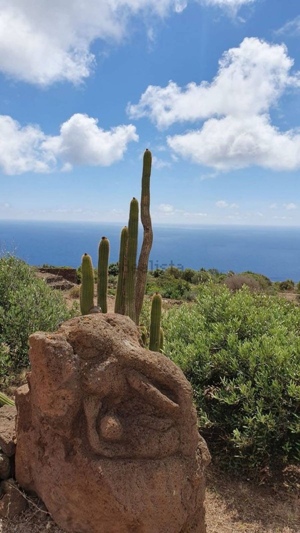 quadrivano in vendita a Pantelleria