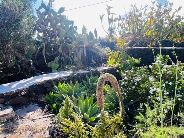 casa indipendente in vendita a Pantelleria