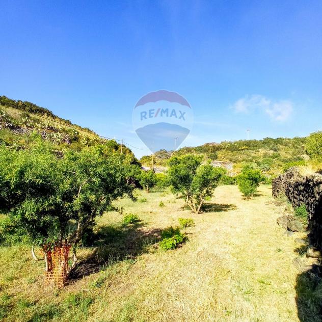 casa indipendente in vendita a Pantelleria