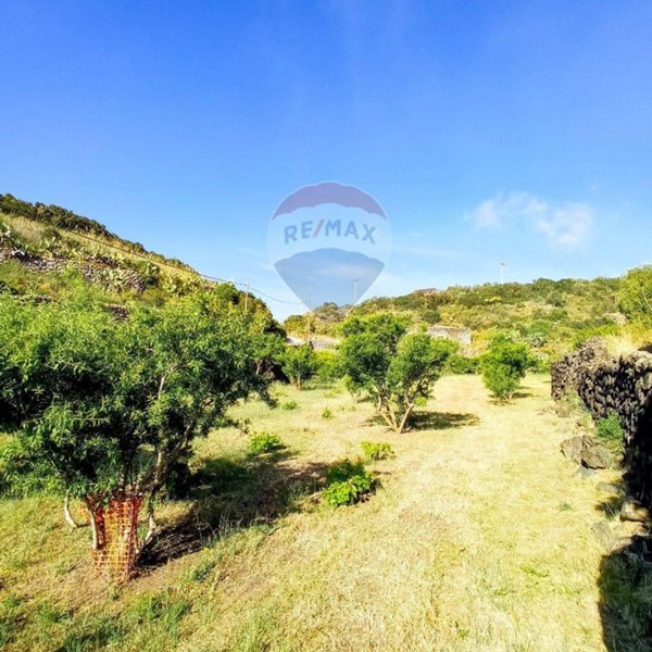 casa indipendente in vendita a Pantelleria