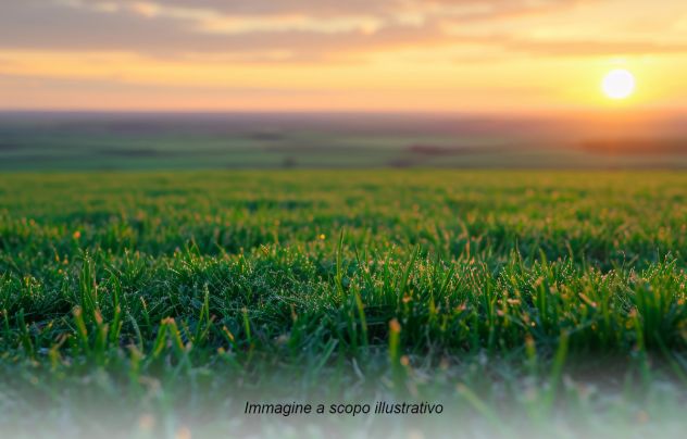 terreno edificabile in vendita a Pantelleria