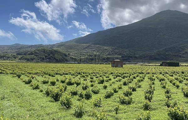appartamento in vendita a Pantelleria