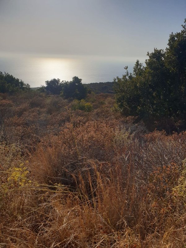 terreno edificabile in vendita a Pantelleria in zona Scauri