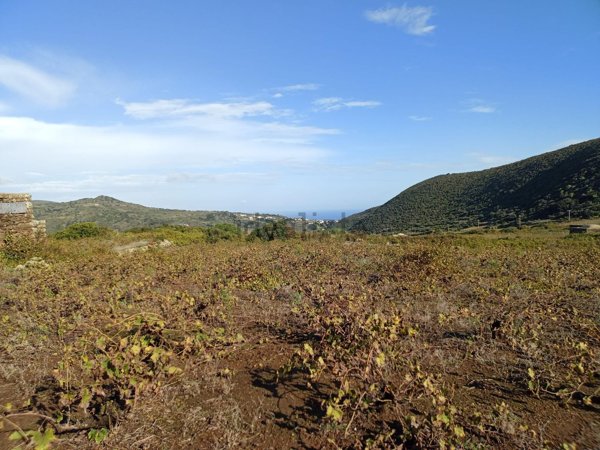 terreno agricolo in vendita a Pantelleria
