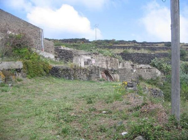 esavano in vendita a Pantelleria