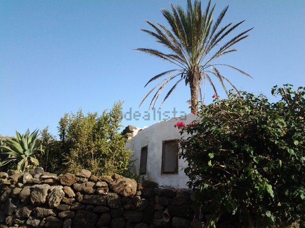 pentavano in vendita a Pantelleria