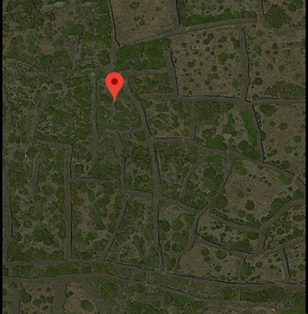 terreno agricolo in vendita a Pantelleria