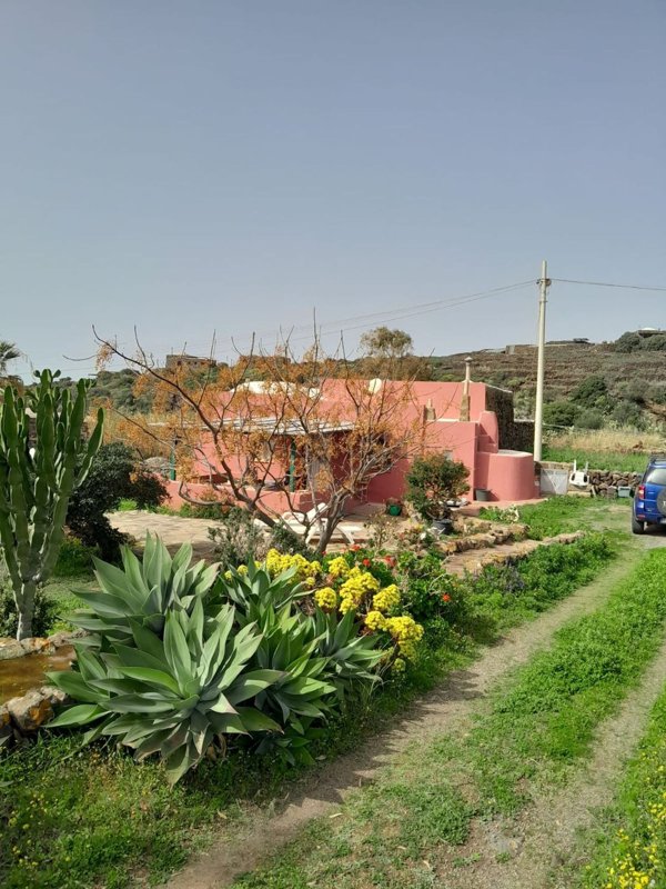 pentavano in vendita a Pantelleria