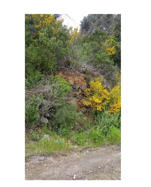 terreno edificabile in vendita a Pantelleria in zona Scauri