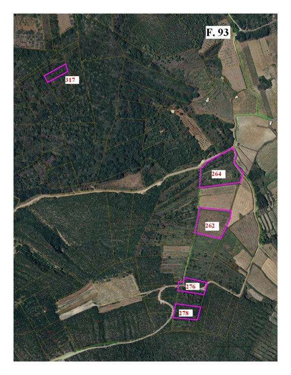 terreno agricolo in vendita a Pantelleria in zona Scauri