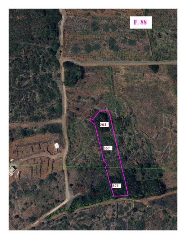 terreno agricolo in vendita a Pantelleria in zona Scauri