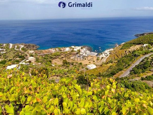 esavano in vendita a Pantelleria