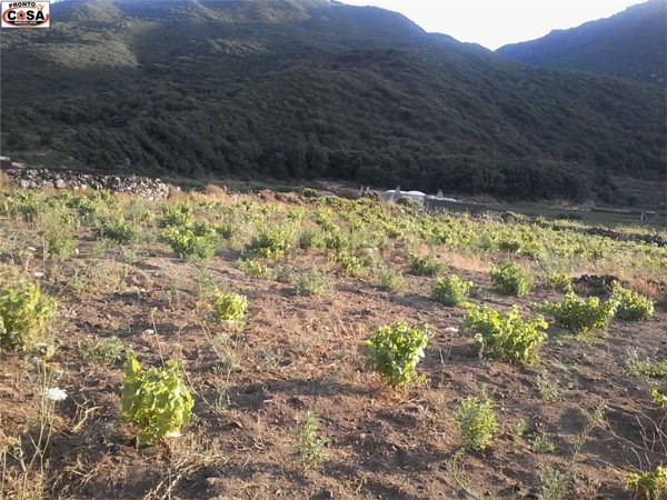 casa indipendente in vendita a Pantelleria
