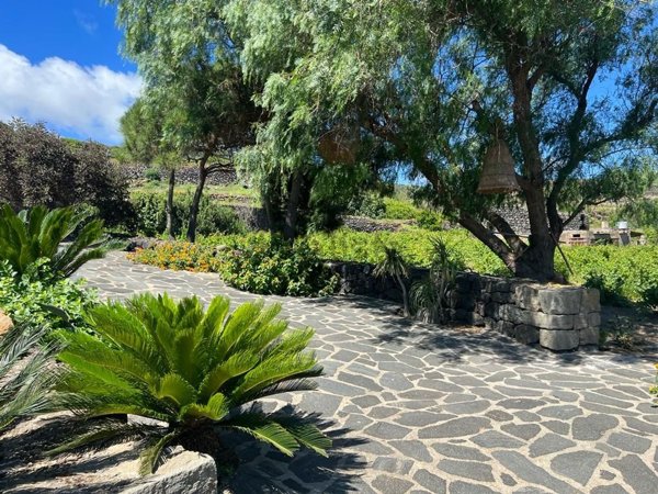 pentavano in vendita a Pantelleria