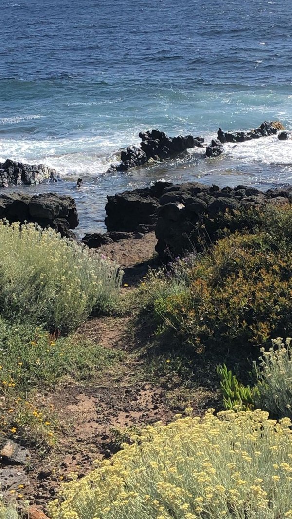 appartamento in vendita a Pantelleria