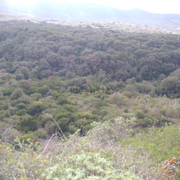 terreno agricolo in vendita a Pantelleria