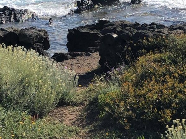 casa indipendente in vendita a Pantelleria