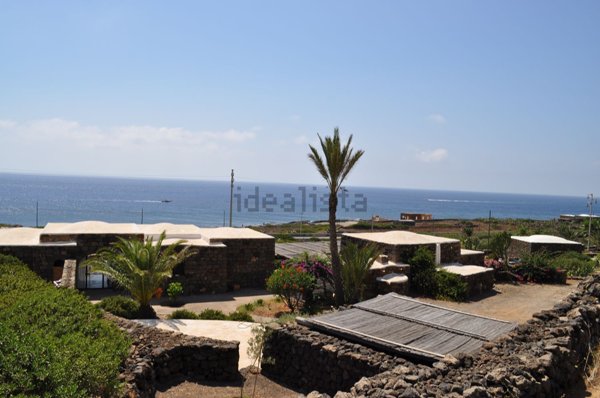 esavano in vendita a Pantelleria