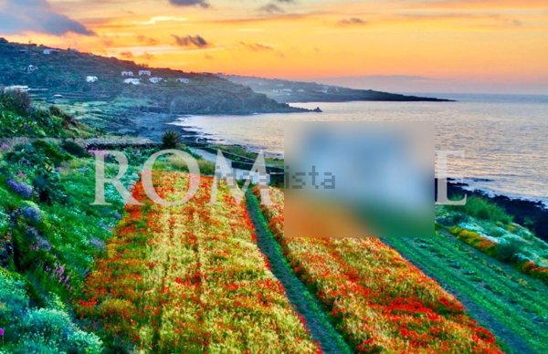 casa indipendente in vendita a Pantelleria