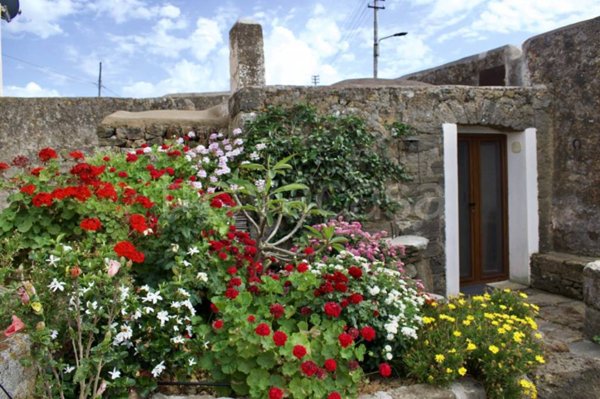 casa indipendente in vendita a Pantelleria in zona San Vito