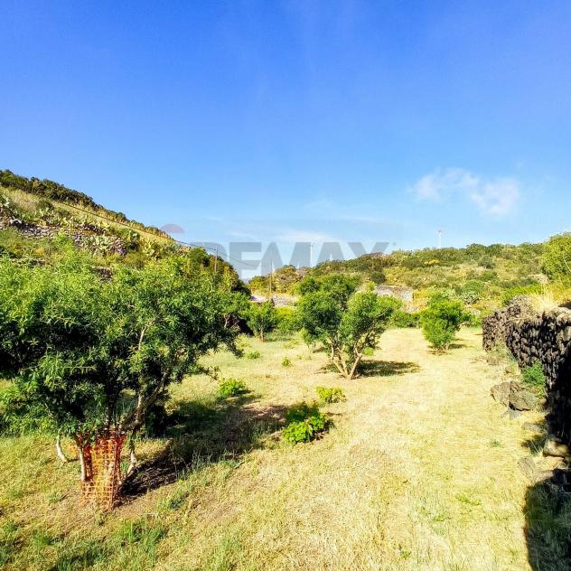 casa indipendente in vendita a Pantelleria